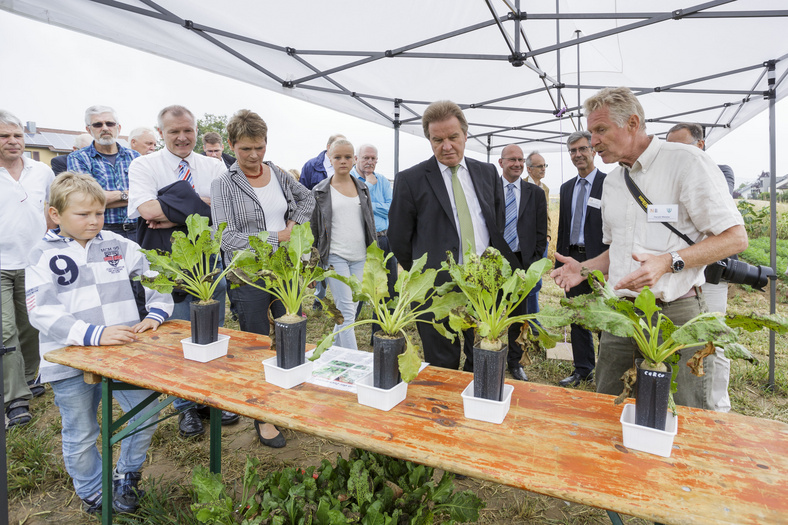 Minister Untersteller, Staatssekretärin Gurr-Hirsch und andere Personen schauen sich einzelne Zuckerrübenpflanzen an. Ein Mann spricht.