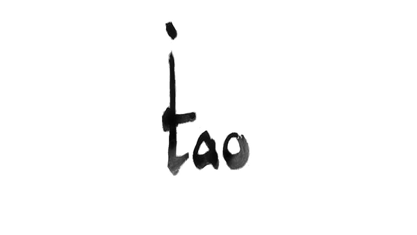 Das Logo der TAO Trans Atmospheric Operations GmbH.