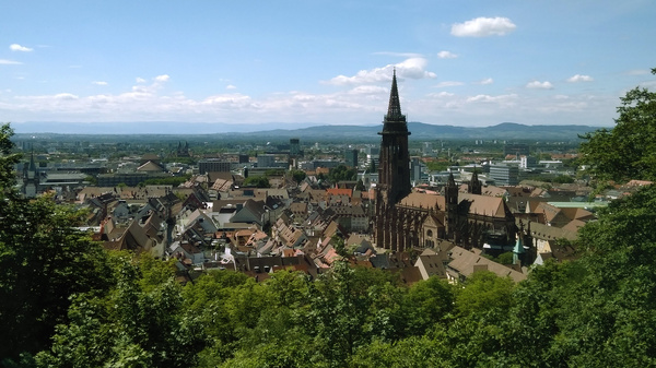 Blick vom Waldrand aus auf Freiburg mit seinem Münster und dahinterliegende Bergzüge des Schwarzwalds.