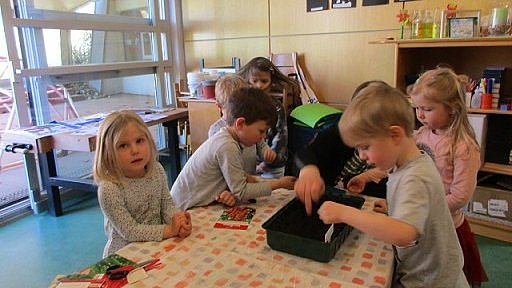 In kleinen Anzuchtschalen, durften die Kinder die Erde einfüllen, um mit dem Zeigefinger darin kleine Kuhlen für die einzelnen Samen zu drücken. Vorsichtig haben sie im Anschluss den Samen wieder mit Erde bedeckt.