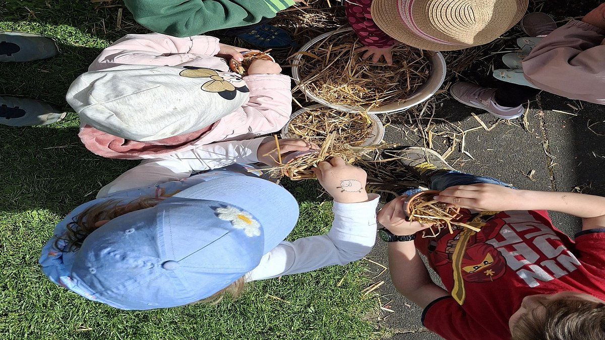 Mini-Insektenhotels (Tontöpfe) bemalen und befüllen.