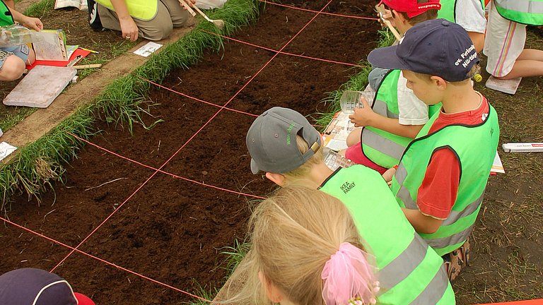 Einige Kinder sitzen vor einem Ausgrabungsfeld im Federseemuseum Bad Buchau und bereiten ihre Ausgrabung vor.