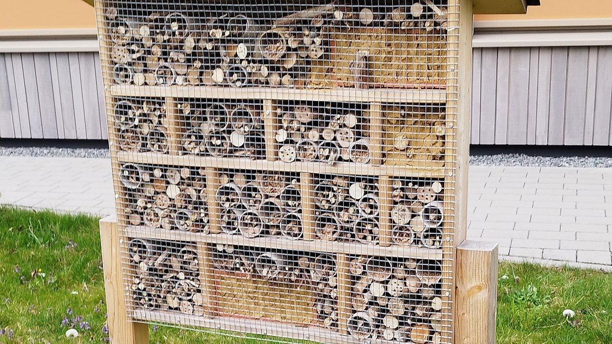 Unser Insektenhotel auf der hoffentlich bald blühenden Wildblumenwiese.