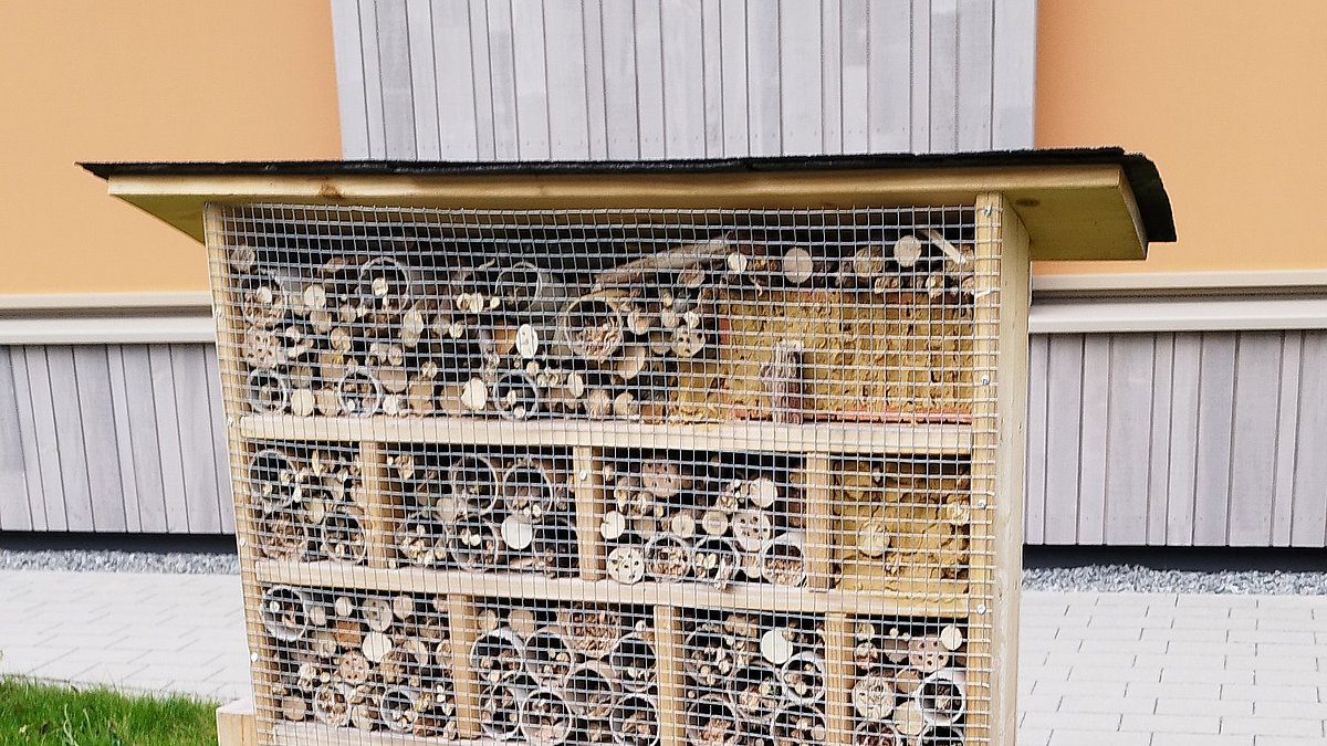 Unser Insektenhotel auf der hoffentlich bald blühenden Wildblumenwiese.