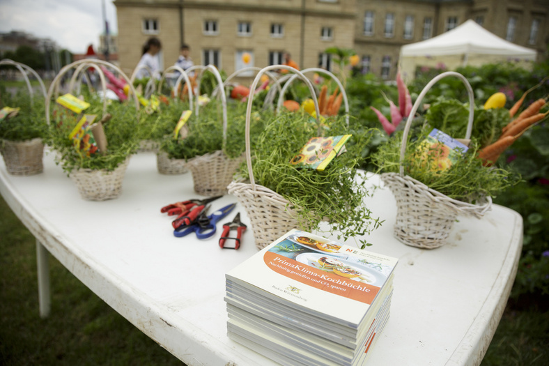 Nachhaltigkeitstage 2014 Viele weiße Körbchen mit Thymian und Saatguttütchen. Die Körbe auf einem weißen Tisch, im Hintergrund das Neue Schloss.