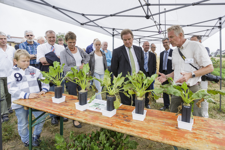 Nachhaltigkeitstage 2014 Minister Untersteller, Staatssekretärin Gurr-Hirsch und andere Personen schauen sich einzelne Zuckerrübenpflanzen an. Ein Mann spricht.