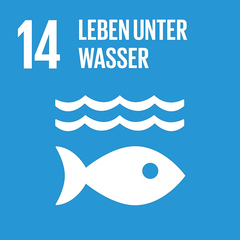 Icon für SDG 14 Leben unter dem Wasser, dargestellt wird ein Fisch unter zwei Wellen auf blauem Hintergrund.