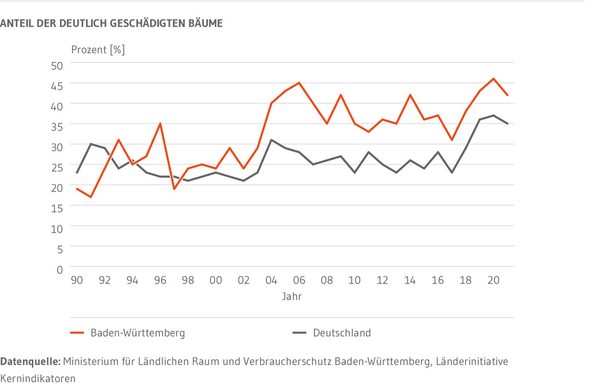 Anteil der deutlich geschädigten Bäume an der Gesamtzahl der Bäume in Baden-Württemberg und in Deutschland. Sowohl in Baden-Württemberg als auch in Deutschland nehmen die Waldschäden zu. In Baden-Württemberg von 19 Prozent im Jahr 1990 auf über 40 Prozent im Jahr 2021, in Deutschland von 23 Prozent im Jahr 1990 auf 35 Prozent im Jahr 2021.