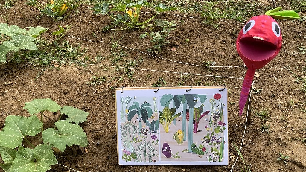 Acker der Albert-Schweitzer-Schule Sinsheim