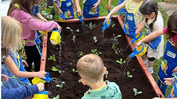 Die Edekastiftung kommt jedes Jahr und bepflanzt mit den Kindern das Gemüsebeet. Dieses Bild ist aus dem Jahr 2024.