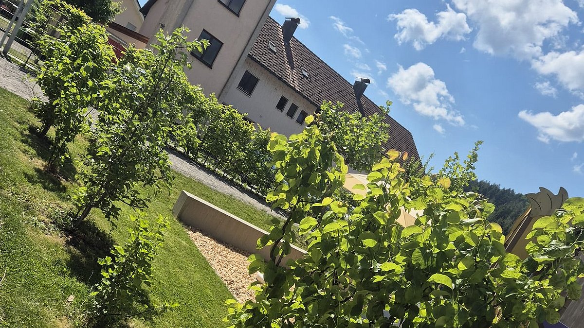 Hier ernten wir Himbeeren, Heidelbeeren, Stachelbeeren, Apfel, Birnen....