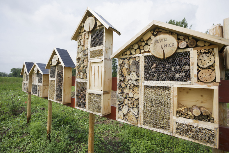 Fünf verschiedene Insektenhotels auf Stelzen auf einer Wiese. Namensschilder hängen an den Häusern. Das erste Schild ist lesbar: Kevin Nick.