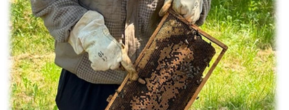 Besuch beim Imker.