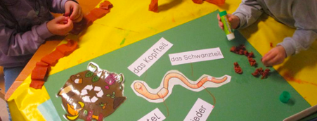 Der Regenwurm - Was ist das für ein Tier?