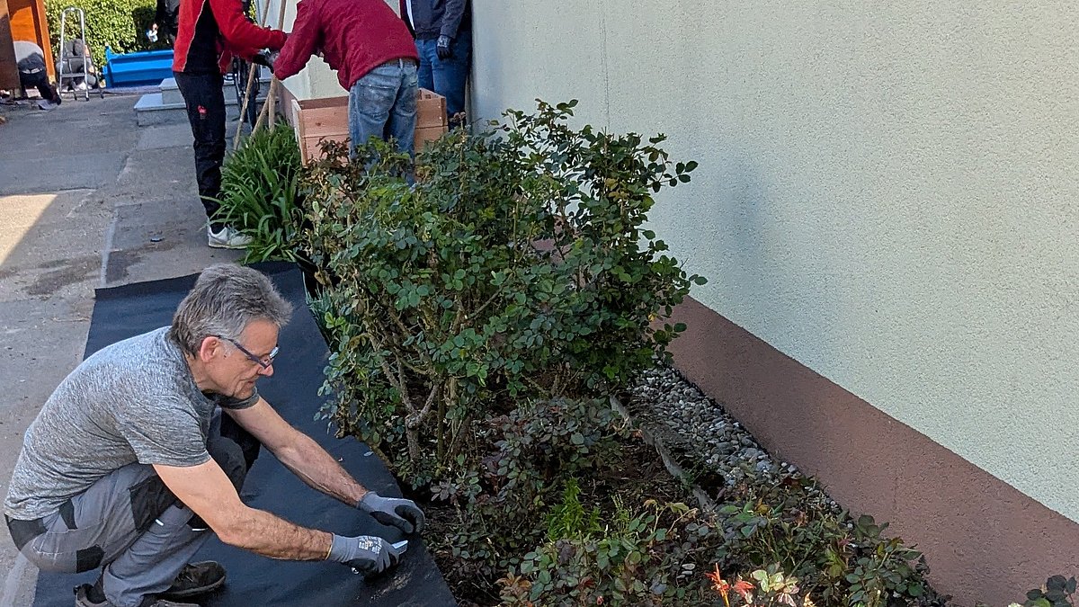 Die Rabatten wurden am Tag des Audi-Projekts neu ausgelegt, nachdem das ganze Unkraut entfernt wurde.