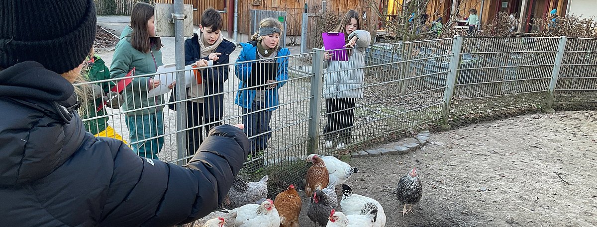 Das Farbfoto zeigt eine Gruppe von Kindern an einem Hühnergehege. Sie stehen hinter einem Zaun, beobachten die Hühner und machen Notizen. Im Hintergrund sind Holzhütten zu sehen.