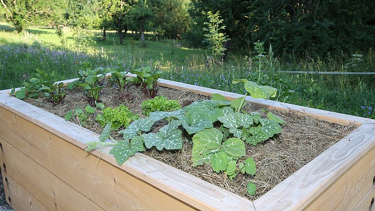 Ein Hochbeet auf einer Wiese.