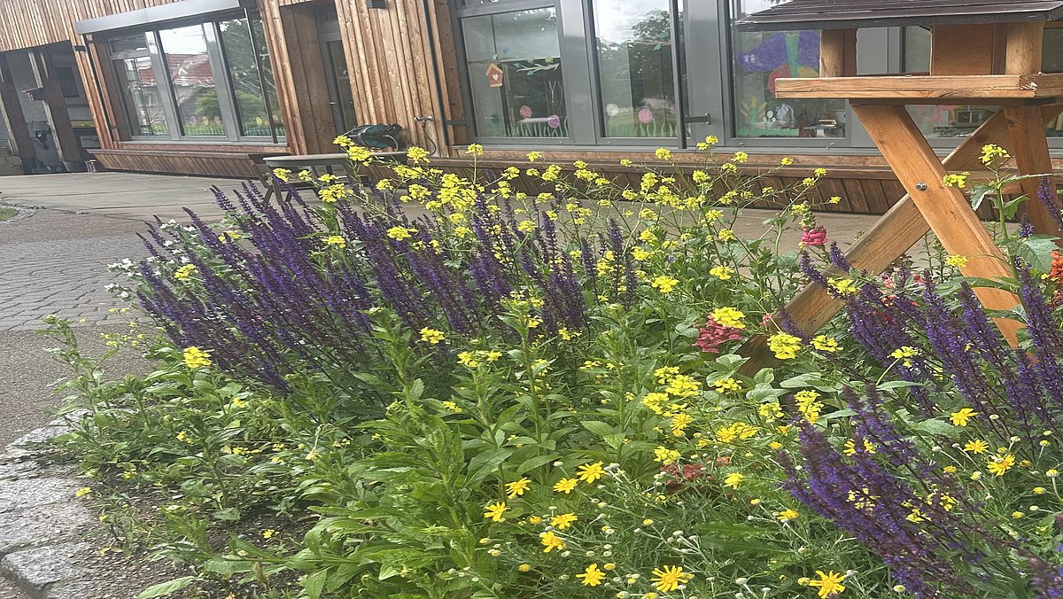 Bunte Farben dürfen natürlich auch nicht in unserem Kindergarten fehlen.