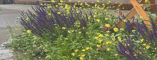 Bunte Farben dürfen natürlich auch nicht in unserem Kindergarten fehlen.