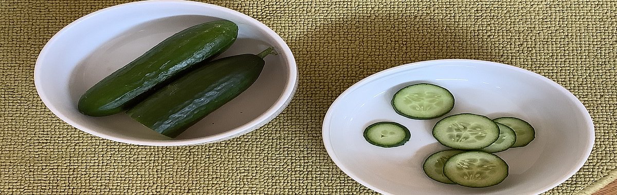 Es gibt sehr viele unterschiedliche Gemüsesorten. Die Kinder sortieren die jeweiligen Pärchen zusammen und sehen dabei den Unterschied beim Querschnitt. Im Anschluss daran probieren wir eine Gurke.