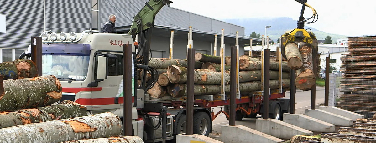 Eine Stammholzlieferung wird von einem Holztransporter an einem Sägewerk abgeladen.