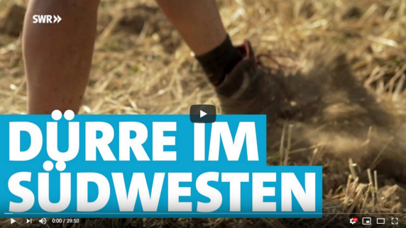 Zum Video des SWR zum Thema Dürre im Südwesten