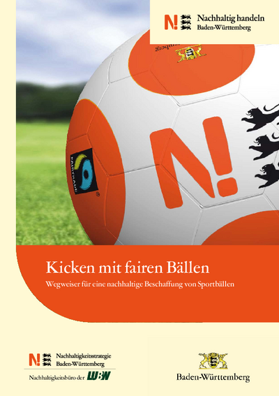 Produktwegweiser für eine nachhaltige Beschaffung von Sportbällen