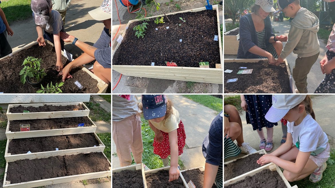 Die Kinder pflanzten gemeinsam mit uns Erzieherinnen die vorgezogenen Pflänzchen und viele weitere Samen endlich in unsere Hochbeete ein.