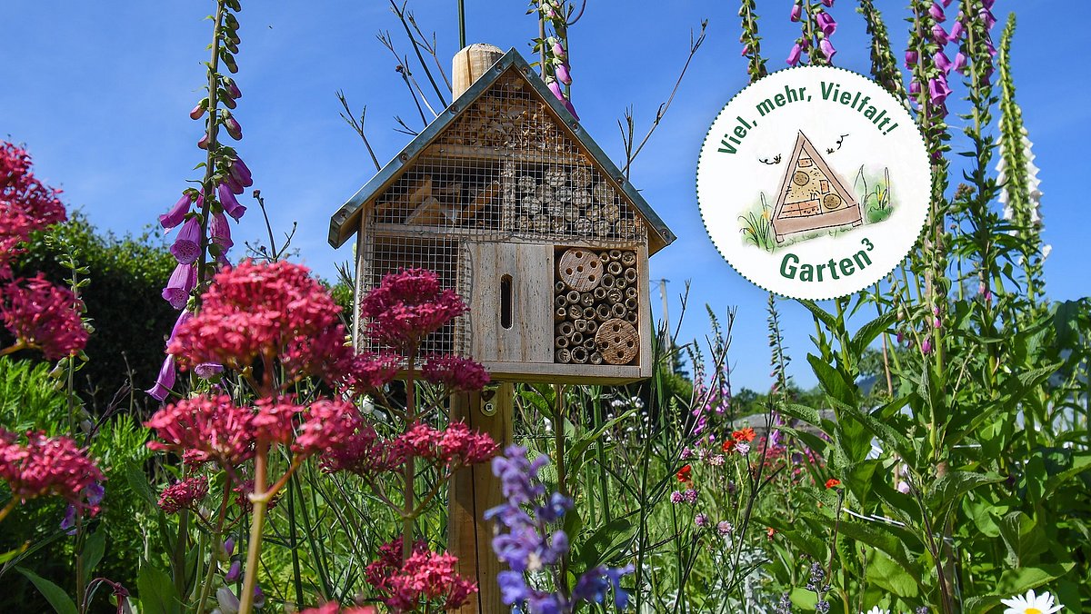 Eine blühende Wiese. Mittendrin steht ein Wildbienenhotel.