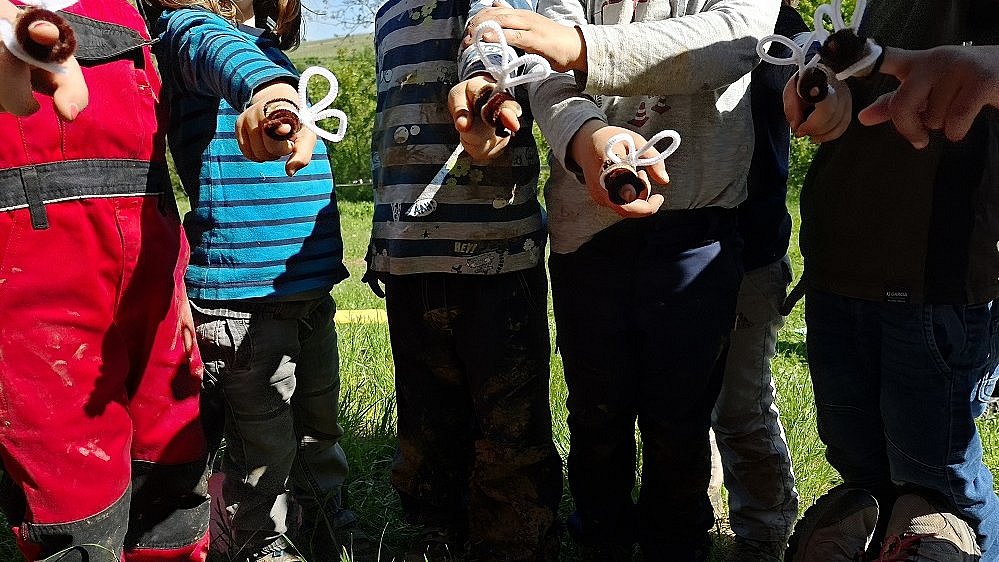 Bienen helfen beim Bestäuben, wie können wir Bienen helfen.