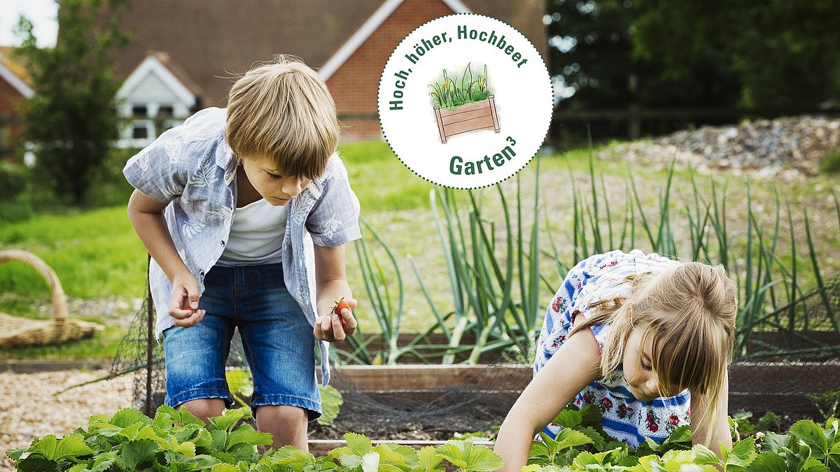 Ein Mädchen und ein Junge stehen in einem Beet. Das Mädchen greift nach unten. Der Junge hält eine Erdbeere in der Hand.