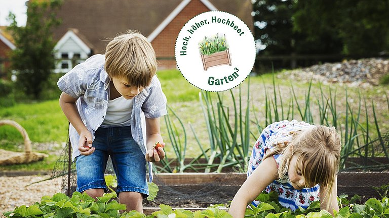 Ein Mädchen und ein Junge stehen in einem Beet. Das Mädchen greift nach unten. Der Junge hält eine Erdbeere in der Hand.