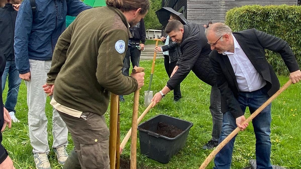 Verschiedene Personen pflanzen einen Baum beim Europatag 2025 ein.
