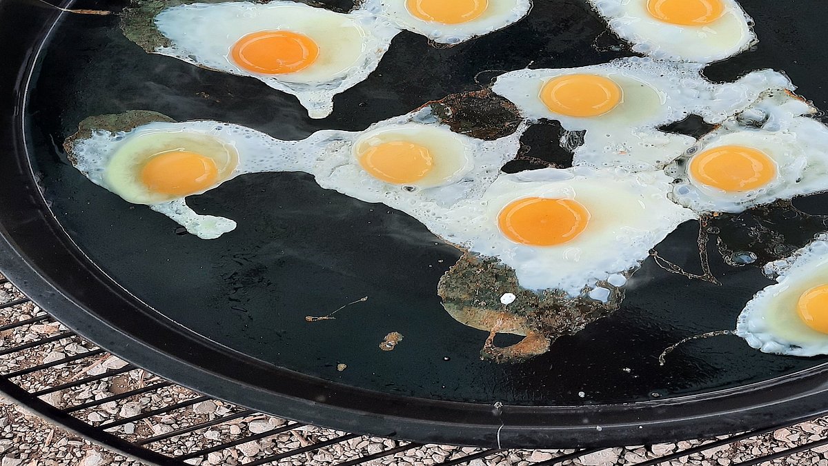 Unsere Eier schmecken besonders gut.