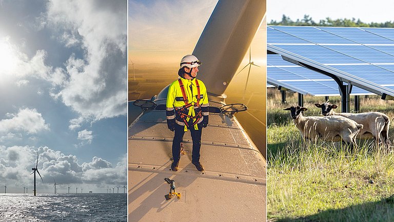 Vier Bilder nebeneinander: Links ein Ausschnitt einer Windkraftanlage auf dem Wasser, daneben ein Mann auf einem Windrad, daneben zwei Schafe auf einer Grünfläche mit Photovoltaikanlage und ganz rechts eine Frau mit einem Ladekabel für ein E-Auto in der Hand.
