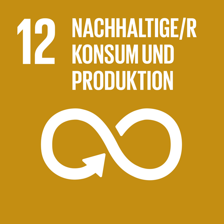 SDG 12 – Verantwortungsvoller Konsum Icon für SDG 12 Verantwortungsvoller Konsum, dargestellt wird eine liegende Acht mit Pfeil auf braunem Hintergrund.
