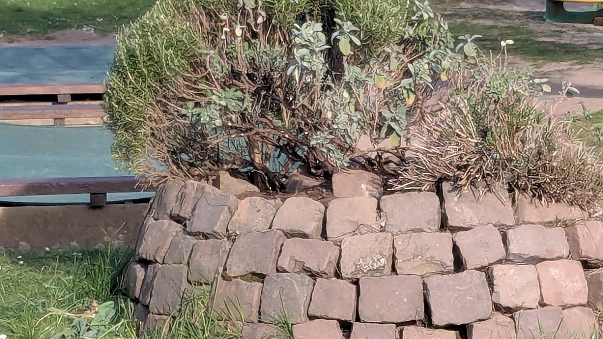 Die Steine der Kräuterschnecke wurden wieder von den Audianern zusammengesetzt.