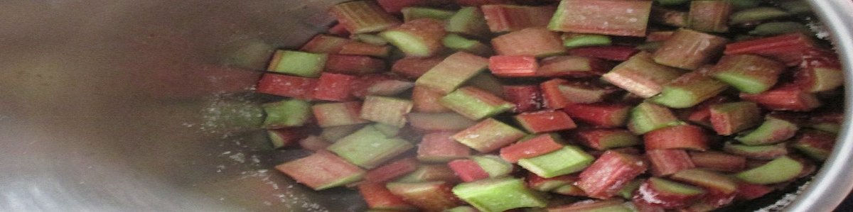 Nach der aufregenden ersten Rhabarberernte haben wir uns direkt an die Arbeit gemacht – und das Ergebnis kann sich sehen (und schmecken!) lassen: Die Kinder haben mit großer Begeisterung geholfen, ein köstliches Rhabarberkompott zuzubereiten! Gemeinsam wurde der geerntete Rhabarber gewaschen, geschnitten und anschließend unter Rühren zu einem duftenden Kompott verarbeitet. Es war wunderbar zu beobachten, wie stolz die Kinder waren, ihr selbst angebautes Gemüse direkt zu einem leckeren Gericht zu verarbeiten. Ein gelungener Abschluss unseres Rhabarber-Abenteuers und der beste Beweis dafür, wie lecker das eigene Gärtnern sein kann!