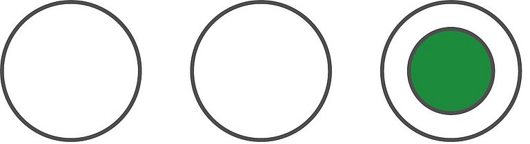 Quer liegende Ampelkreise mit einem grünen Kreis im rechten Feld zeigen auf, dass diesem Indikator einen positiven Trend bescheinigt wird.