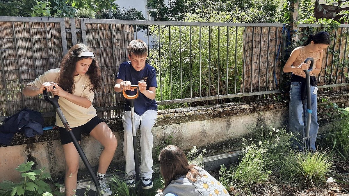 Anpflanzen heimischer Stauden und Gräser am Hölderlin-Gymnasium