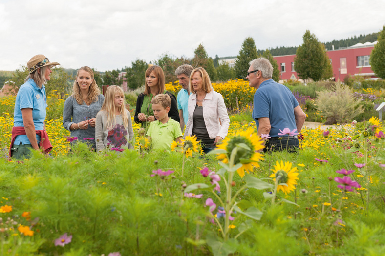 während einer Führung der Firma Albgold stehen ein Gruppe von Menschen in einem blühenden Kräutergarten