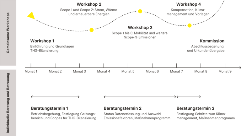 Infografik Klimafit BW-Prozess
