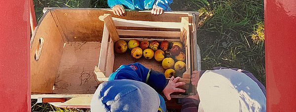 Beispiel aus unserer Projektdokumentation für die Teilnahme am "Markt der Möglichkeiten" der Nachhaltigkeitstage Bodnegg am 20.09.2024 - Äpfel auflesen