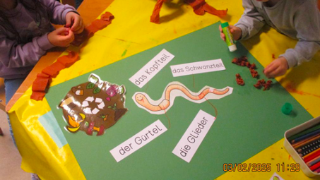 Der Regenwurm - Was ist das für ein Tier?