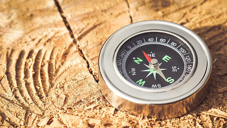 Ein runder Kompass liegt auf einem grob abgesägtem Holzstück.