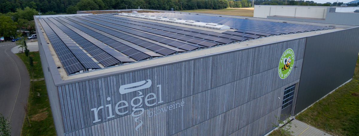 Logistik-Gebäude des Unternehmens Riegel Bioweine, großes Gebäude mit Photovoltaikanlagen auf dem Flachdach.
