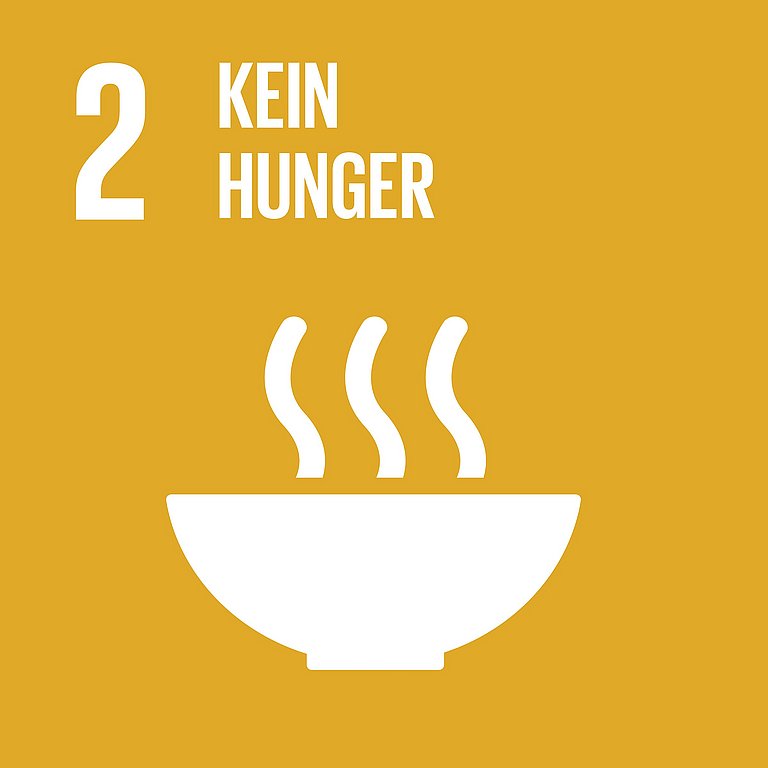 Icon für SDG 2 kein Hunger, dargestellt wird eine dampfende Suppenschüsssel auf senffarbenen Hintergrund.