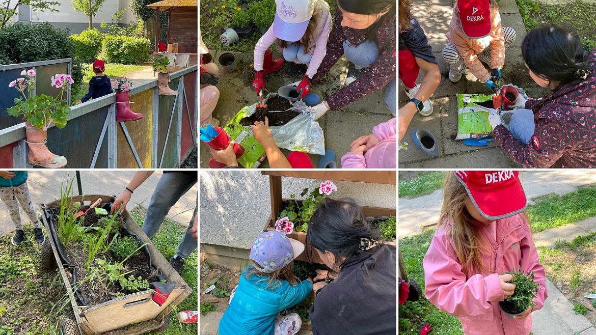Im Mai bekamen gerettete Pflanzen ein neues Zuhause in alten Gummistiefeln und einem alten Bollerwagen.