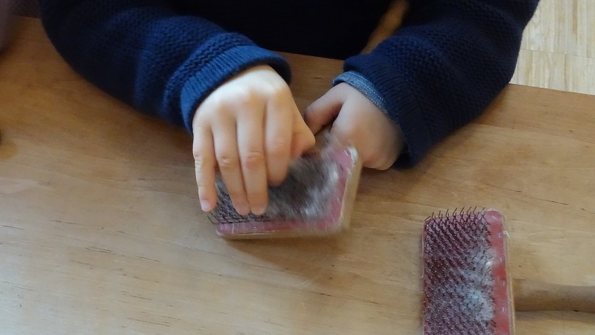 Das Kämmen der Wolle.