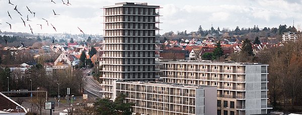Ein farbiges Foto zeigt ein modernes Holzhybridhochhaus mit vielen Balkonen an einer Straße. Im Hintergrund sind rote Dächer und Bäume zu sehen. Vögel fliegen über das Gebäude. 